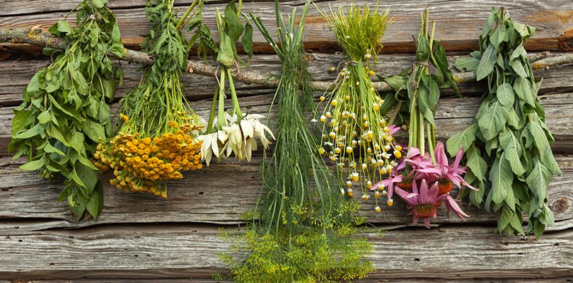 Safe Use of Herbal Remedies